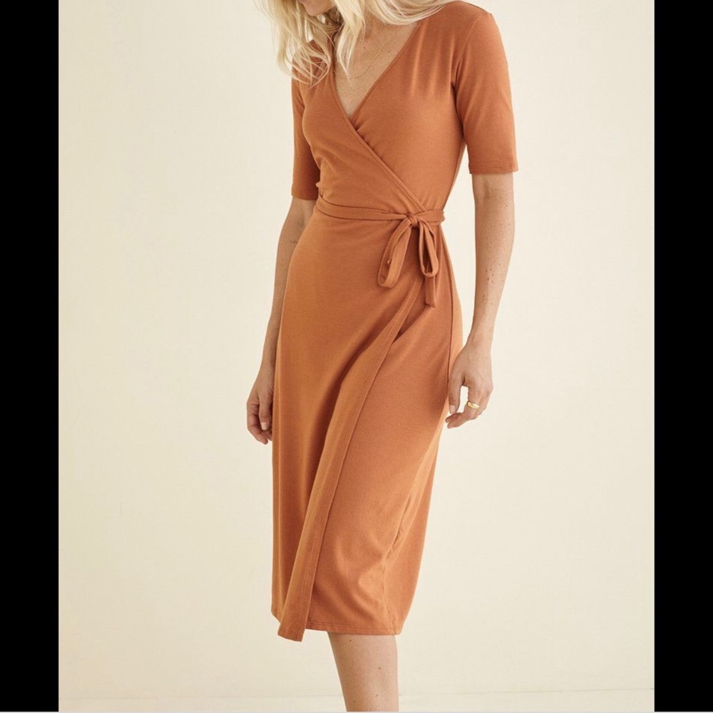 Amour Vert / Everlane / Madewell Wrap Dress